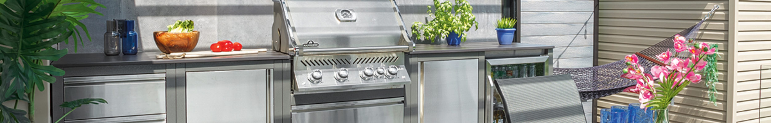 NAPOLEON CUISINE D'éTé ET GRILL